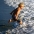 Child Running Into Surf